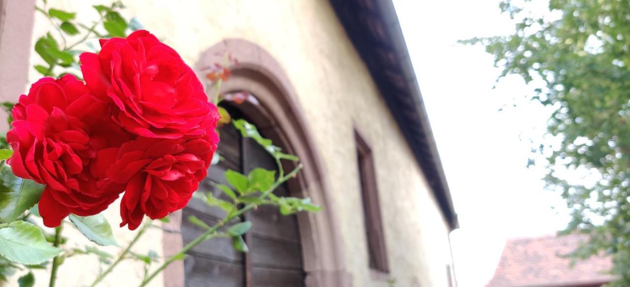 Ferienwohnung Am Hollergraben Oberschwarzach Bagian luar foto