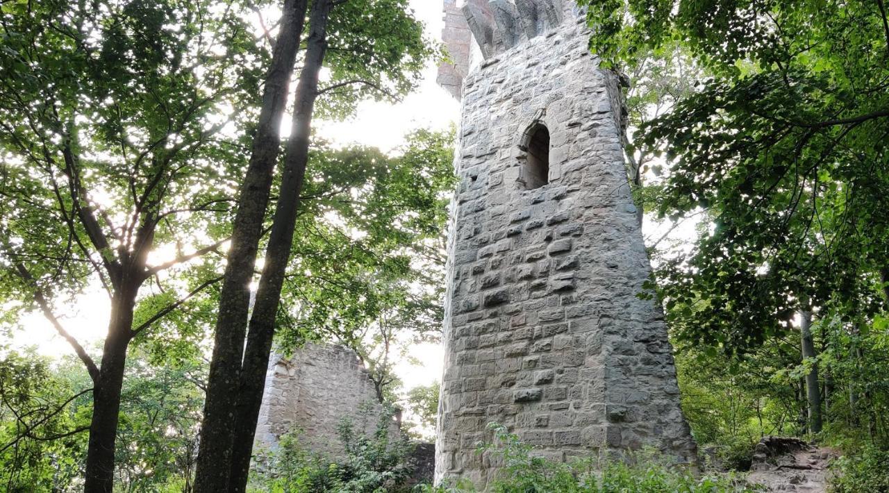 Ferienwohnung Am Hollergraben Oberschwarzach Bagian luar foto