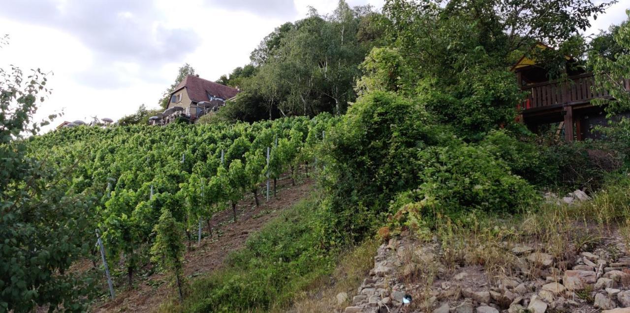 Ferienwohnung Am Hollergraben Oberschwarzach Bagian luar foto